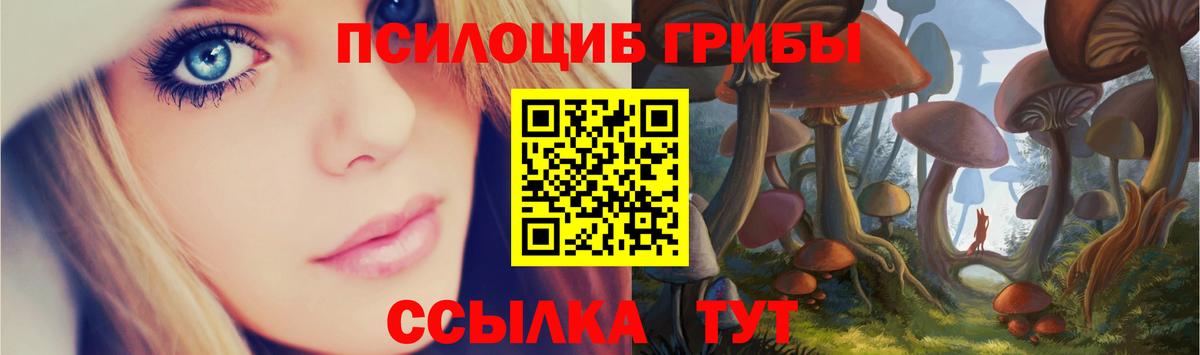 Чапаевск  Псилоцибиновые грибы Psilocybe  Вход с VPN 